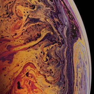 Meet your Posher, Lamont